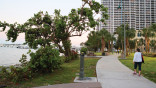 New projects adorn Biscayne Bay at Edgewater