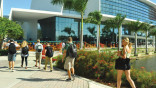 University of Miami sets application record