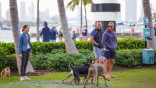 Miami may be going to the dogs – in dog parks
