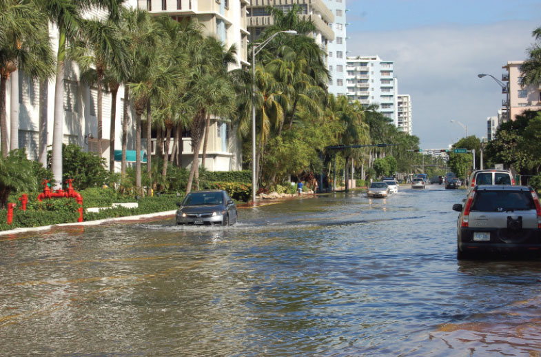 Miami getting serious about sea level rise