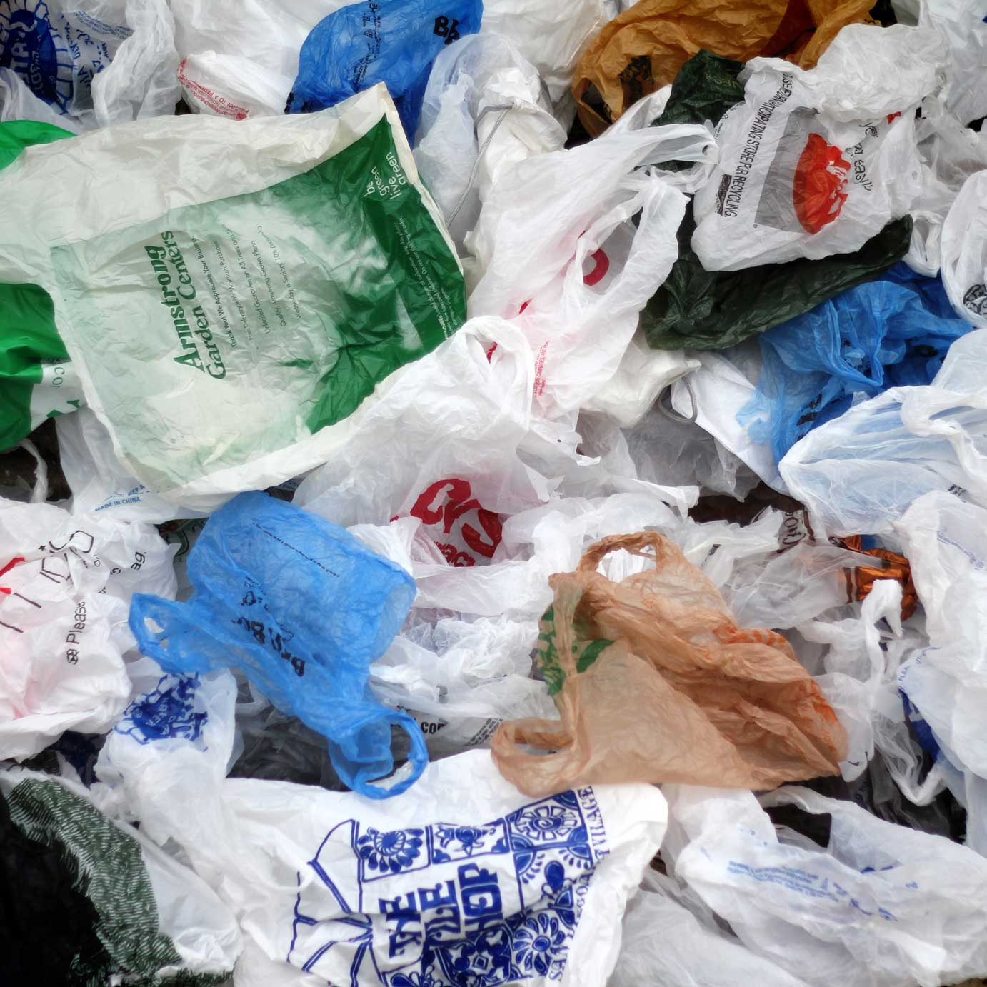 Move to restrict use of plastic bags spreads to Miami