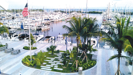Public marinas in City of Miami in murky waters