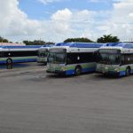 CNG buses