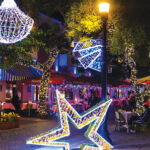 Holiday Magic in Miami