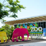 Zoo Miami