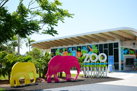 Zoo Miami claws its way back from covid