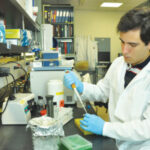 Florida International University