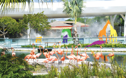 Zoo Miami upgrading