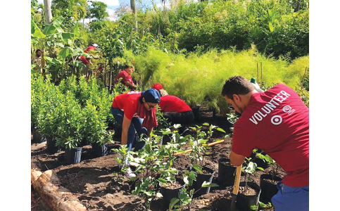 30% shade cover in county’s urban areas sought by 2032