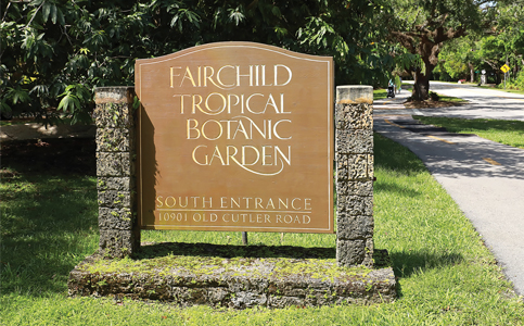 Fairchild Tropical Botanic Garden may run Matheson Hammock’s nursery