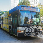 bus driver