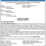 Notice of Action, Miami Today Legals
