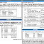 Auction Sale, Miami Today News