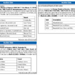 Miami Today Legals, Auction Sale