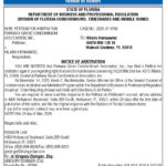 Notice of Action, Miami Today Legals